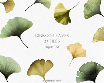Ginkgo leaves Watercolor Clipart PNG - greenery botanical nature ginkgo biloba floral elements green yellow foliage #b20