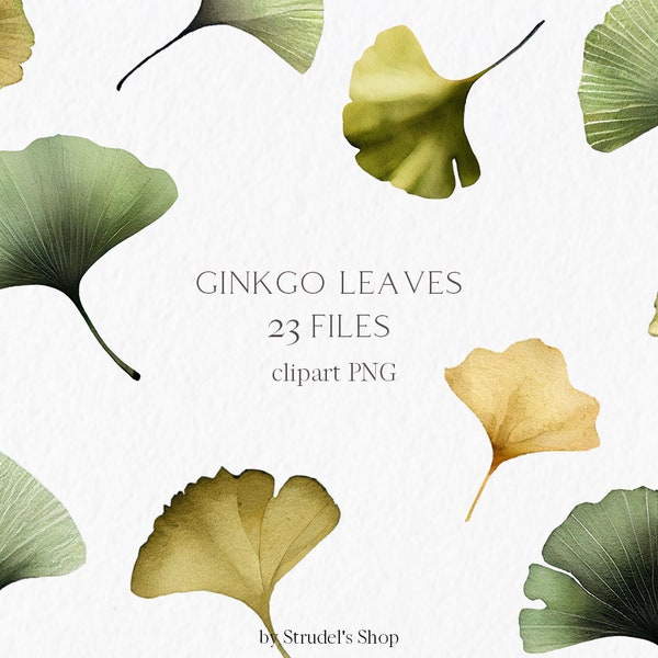 Ginkgo leaves Watercolor Clipart PNG - greenery botanical nature ginkgo biloba floral elements green yellow foliage #b20