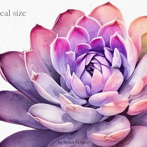 Flores laranja fúcsia Clipart PNG - rosa verão brilhante gráficos coloridos floral casamento uso comercial sublimação #b133 imagem 8