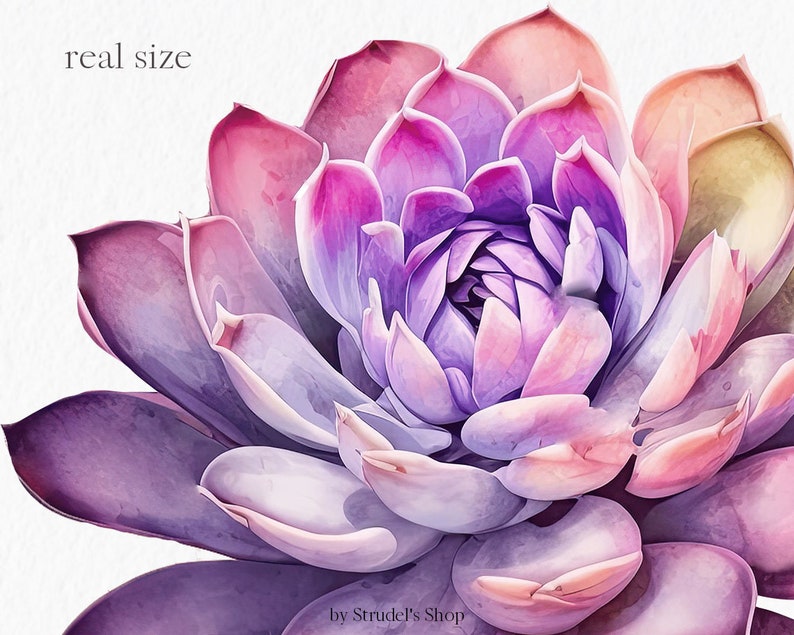 Flores laranja fúcsia Clipart PNG - rosa verão brilhante gráficos coloridos floral casamento uso comercial sublimação #b133 imagem 8