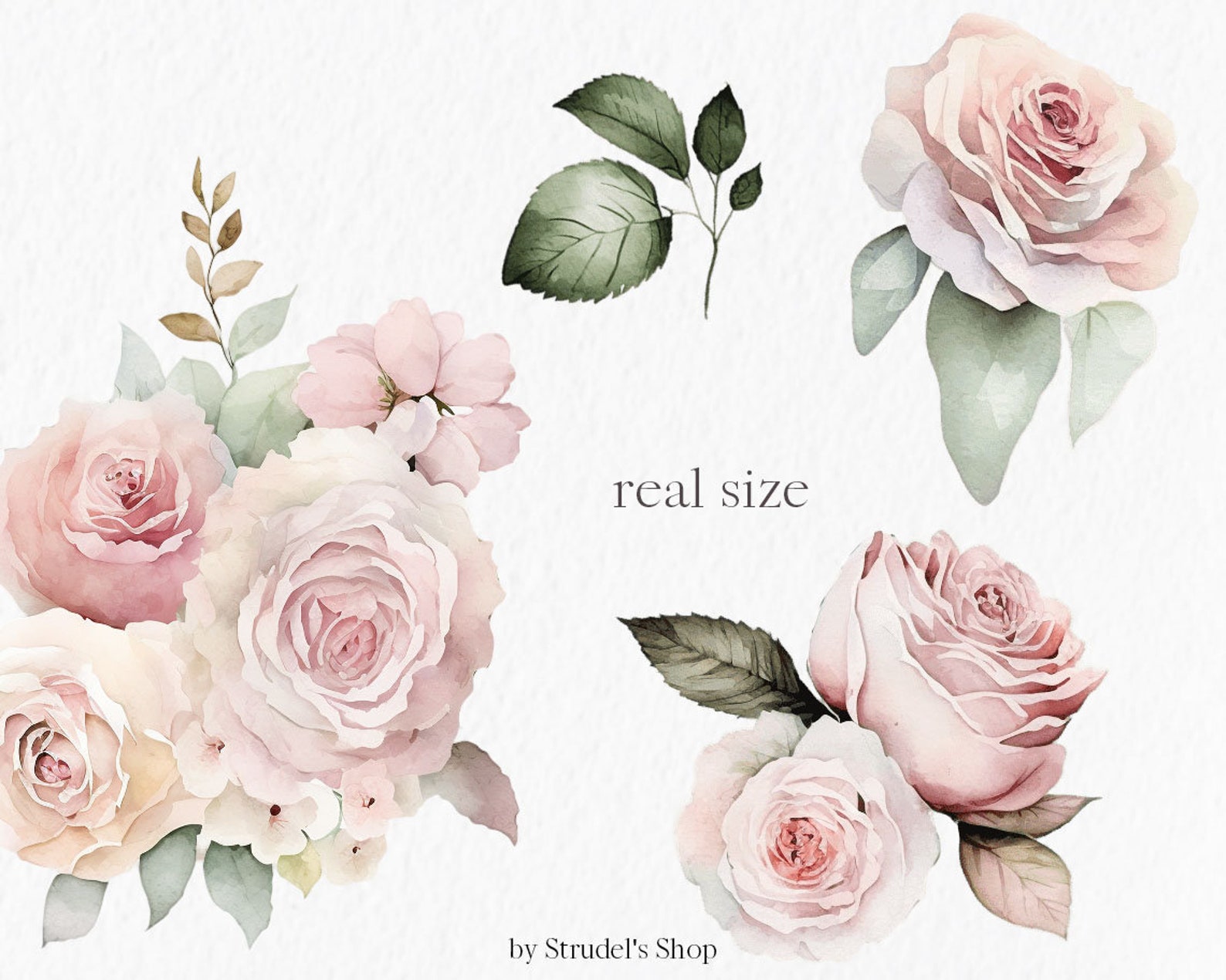 Peach Pink Roses Watercolor Clipart PNG - Flower Pastel Floral ...