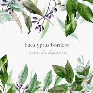 Greenery borders, Foliage frame watercolor clipart #c66