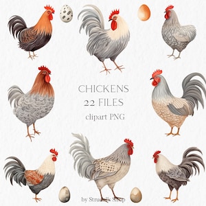 Bundle de cliparts aquarelle poulets de ferme - poules coqs oeuf de pâques animaux de la ferme animaux de la grange beige graphiques rustiques #b118
