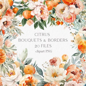 Bouquets d'agrumes, bordures transparentes aquarelle clipart PNG #b19