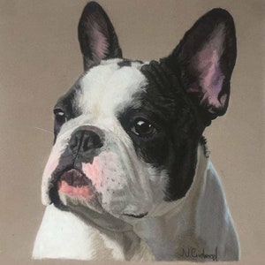 Detailed Pet Portraits