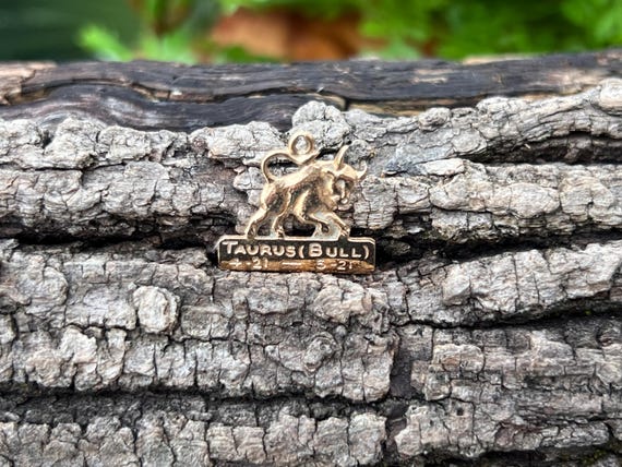 14k Gold Taurus Charm, Taurus Pendant