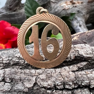 May include: A gold-colored pendant with the number 16 in a circular frame. The frame has a textured, ridged design. The pendant is set against a backdrop of weathered wood, a red flower, and green leaves.
