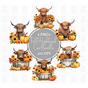 Fall Highland Cow PNG Bundle Pumpkin PNG Cute Highland Baby Cow Sublimation Cow Clipart Western Clipart Highland Calf Digital Download