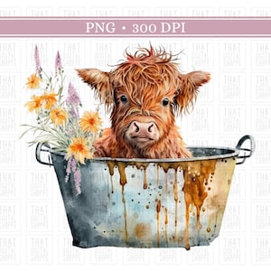 Highland Cow PNG Longhaired Cow PNG Cute Highland Baby Cow Sublimation Cow Clipart Western Clipart Highland Calf Digital Download Boho Cow