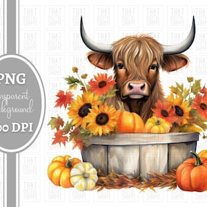Fall Highland Cow PNG Pumpkin PNG Cute Highland Baby Cow Sublimation Cow Clipart Western Clipart Highland Calf Digital Download Sunflowers