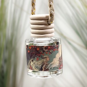 Red Apple Mini Diffuser Hanging Car Diffuser Scented Air Freshener