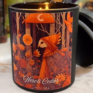 Neroli Cedar Scented Soy Candle Handmade Container Aromatherapy Candle With Essential Oils For Home Decor Lighting Fantasy Lover Bookish