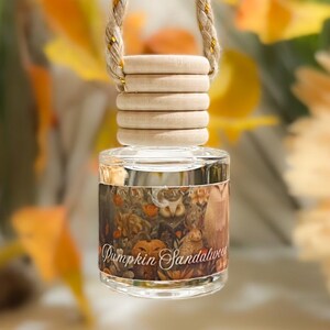 Pumpkin Sandalwood Mini Diffuser Hanging Car Diffuser Scented Air Freshener For Fall