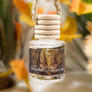 Toasted Pinecones Mini Diffuser Hanging Car Diffuser Scented Air Freshener For Fall