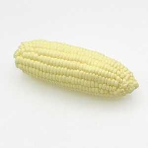 May include: A single ear of white corn, with the husks removed, on a white background.