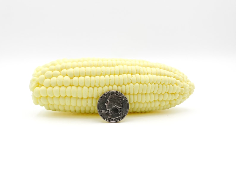 Picture of the soap laying on it side to show width of the corn. The quarter is again used for size and takes up about half the height of the corn.