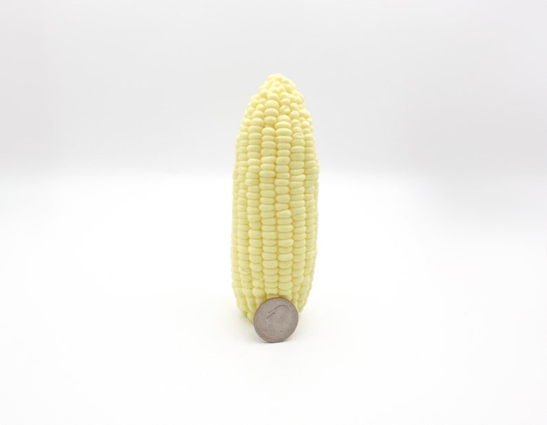 Picture Of the corn on the cob soap standing vertical with a quarter showing the actual size of the soap. The quarter only takes up approximately 4 kernels high or about one sixth of the soap.