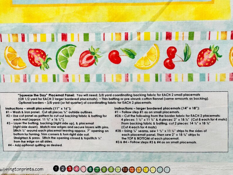 Squeeze the Day Placemat Panel From Wilmington Prints Designed Etsy