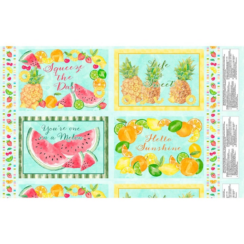 Squeeze the Day Placemat Panel From Wilmington Prints Designed Etsy