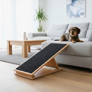 Verstelbare hondenloopplank voor bank of bed met geribbeld tapijt