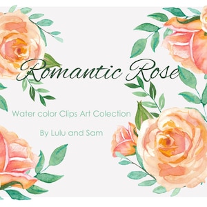 Romantic Rose