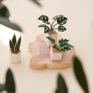 DIY Paper Plants Craft kit- Set Of 3 Unique Plant Designs For Creative Fun