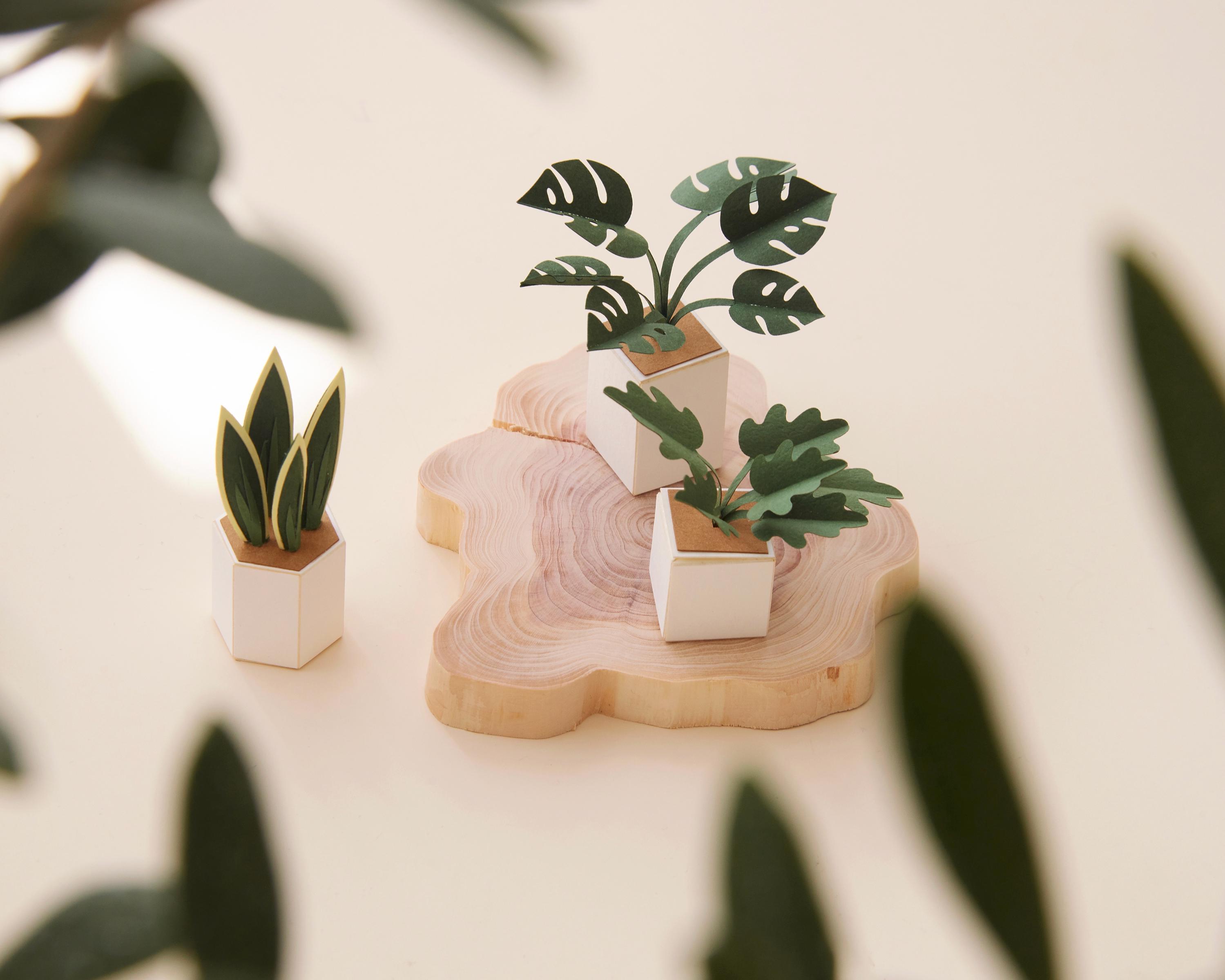 DIY Paper Plants Craft kit- Set Of 3 Unique Plant Designs For Creative Fun