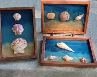 Décor de plage de coquillages, art mural de boîte d'ombre de coquillage, art d'océan de résine