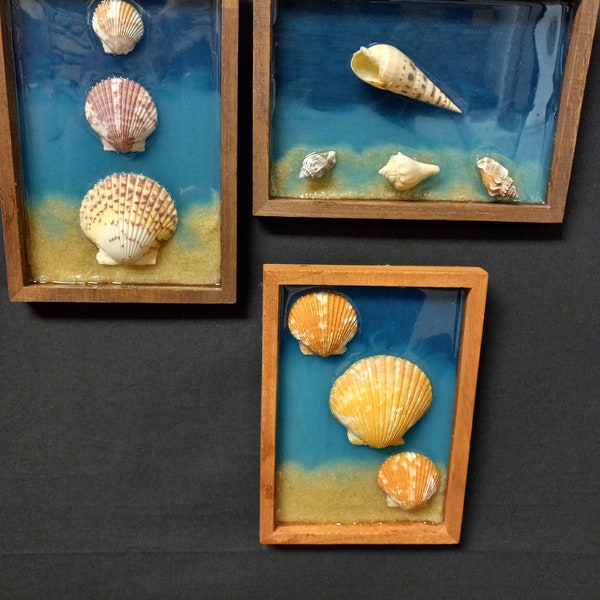 Seashell beach decor, seashell shadowbox wall art, resin ocean art