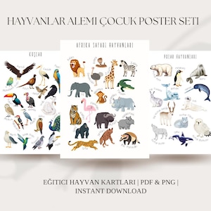 Çocuklar İçin Hayvanlar Alemi Posteri | Eğitici Duvar Decoru | Animals Posters for Kids | Educational Wall Art | Printable Digital Download