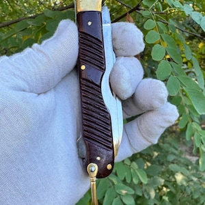 Puede incluir: Una navaja de bolsillo plegable con un mango marrón oscuro y acanalado y una hoja plateada. El cuchillo tiene detalles en latón y un gancho de latón. El fondo es follaje verde borroso.
