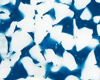 Cyanotype Digital Print | Gravel