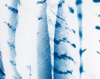 Cyanotype Digital Print | Feathers