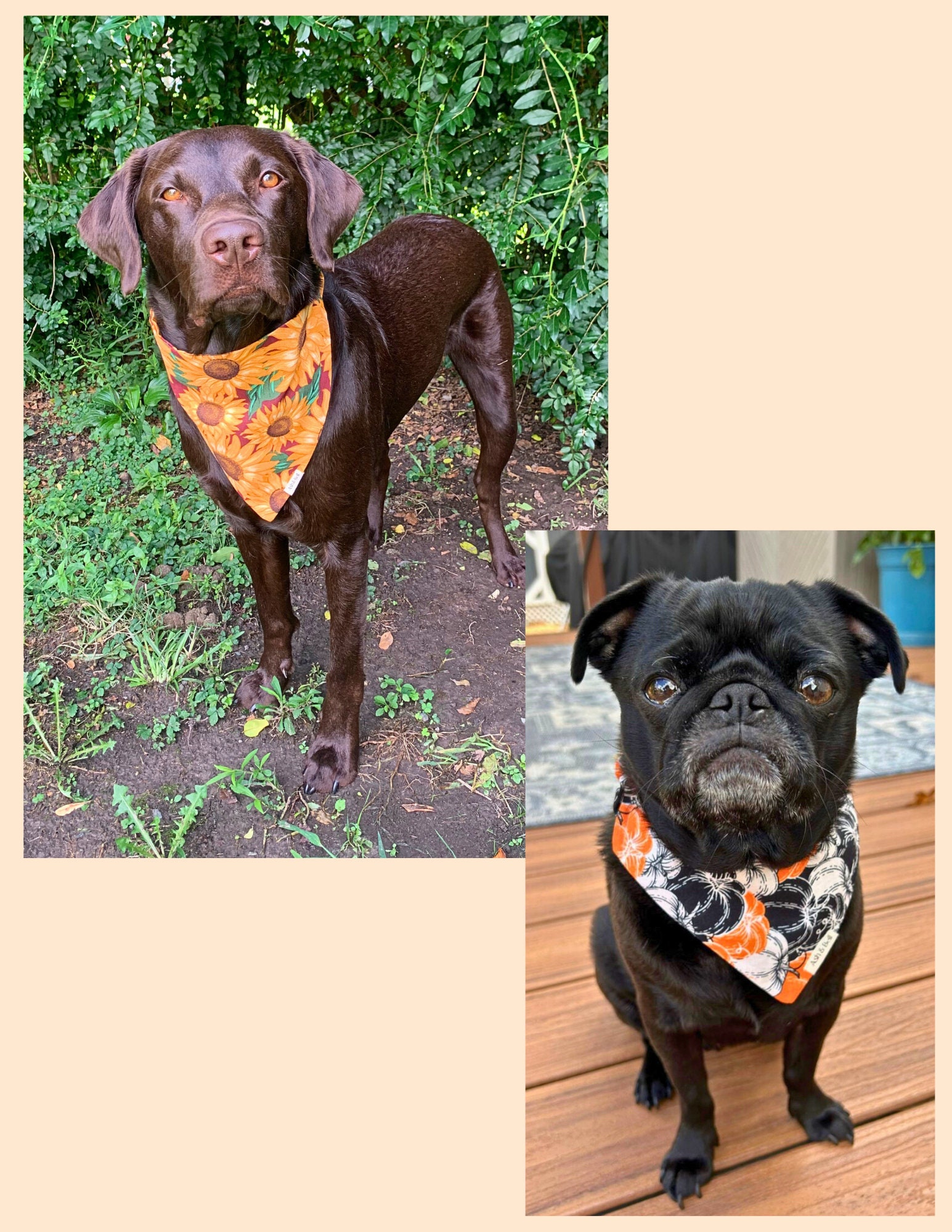 Lemon Dog Bandana - Etsy