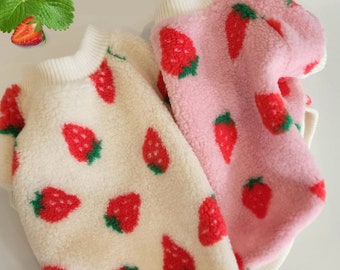 Strawberry Sweater, Daily Sweater, Essentials | Sweater, Jacket for Small & Medium Dog | Free Shipping on Orders over CA90