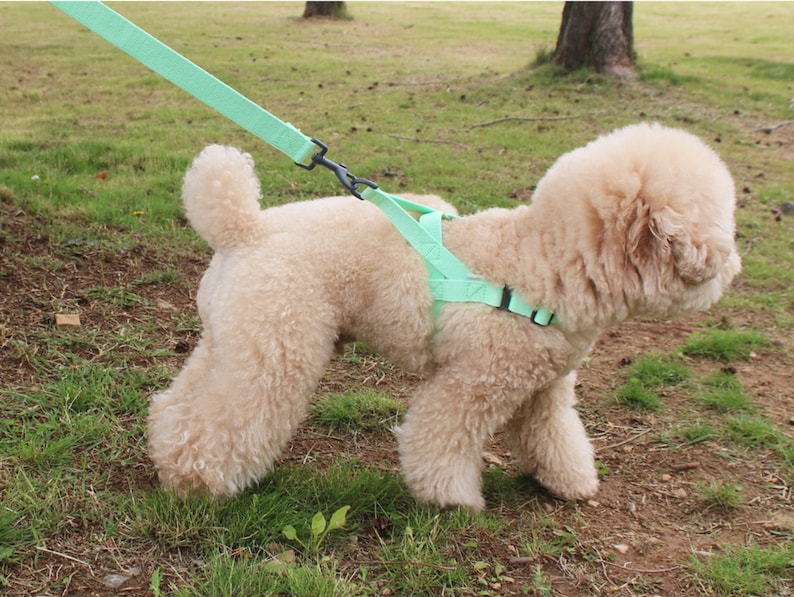 Neo Mint Dog Harness Leash Set Lshape Harness for Small Medium Large