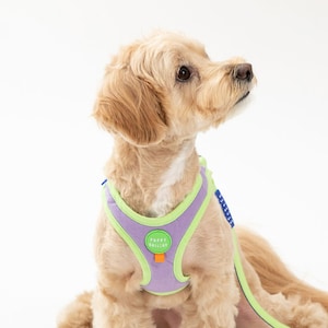 Air Mesh Dog Harness (Leash NOT included) Small Medium Large dogs Breathable Washable Soft Adjustable Harness for Puppy Dog Gifts Lavender