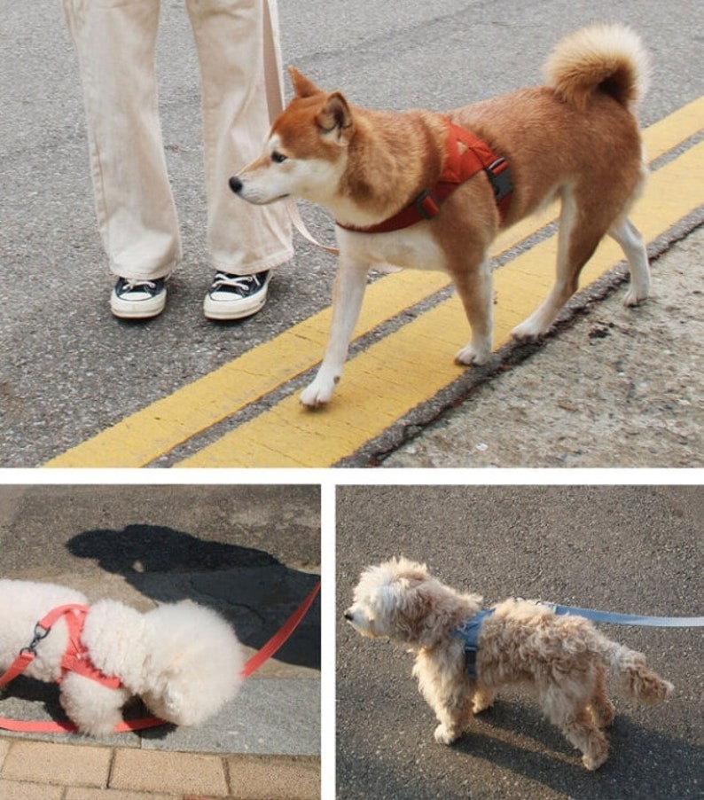 Neo Mint Dog Harness Leash Set Lshape Harness for Small Medium Large Dogs Adjustable Dog