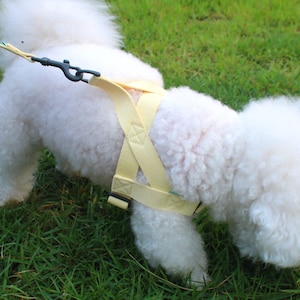 Mellow Shine Daily Dog Harness Leash Set L-Shape Harness for Small Medium Large dogs Adjustable Dog Harness Soft Harness Gift for Puppy Dogs