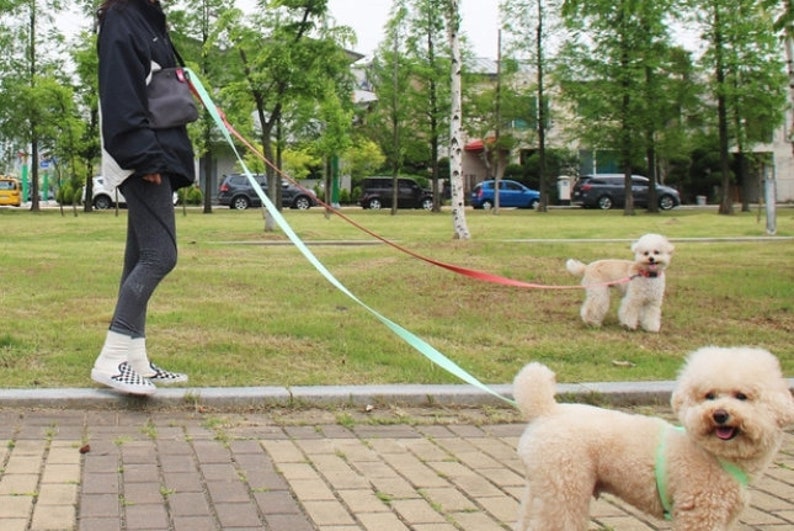 Neo Mint Dog Harness Leash Set Lshape Harness for Small Medium Large Dogs Adjustable Dog