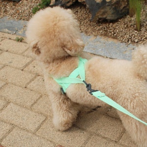 Neo Mint Dog Harness Leash Set L-Shape Harness for Small Medium Large dogs Adjustable Dog Harness Soft Harness Gift for Puppy and Dogs