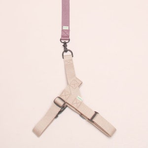 Beige Daily Dog Harness Leash Set L-Shape Harness for Small Medium Large dogs Adjustable Dog Harness Soft Harness Gift for Puppy and Dogs