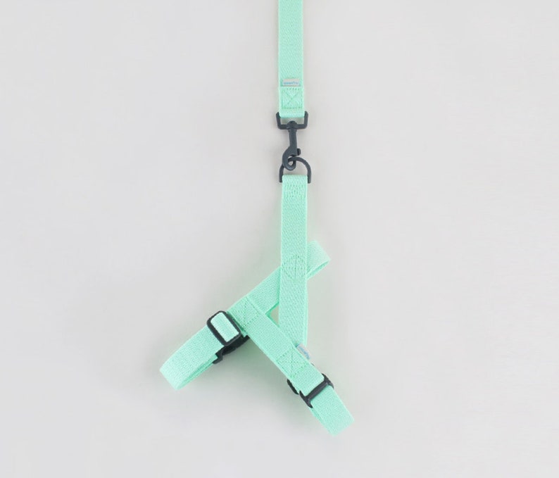 Dog Harness Trixie Junior Mint M/L