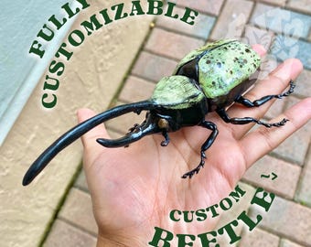 CUSTOM Beetle Bug Art Insect Model Sculpture Display - 6 Legged