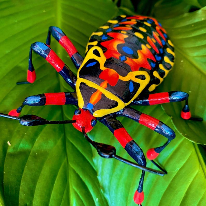 Insect Customized CUSTOM Beetle Bug Art Insect Model Sculpture Display - 6 Legged - Etsy
