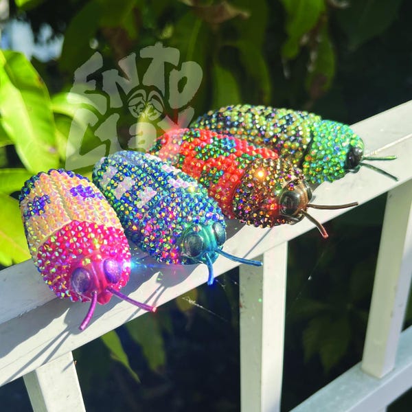 CUSTOM Jewelled Rhinestone Jewel Beetle Bug Art Insect Model Sculpture Display