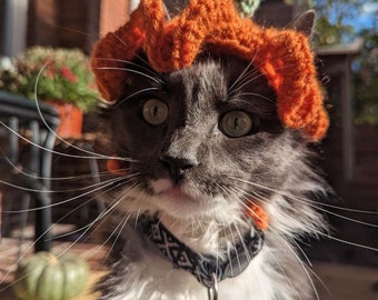 Crochet Sunflower/Pumpkin Pet Hats