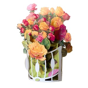 No.51 Red Roses. Pop up bouquet