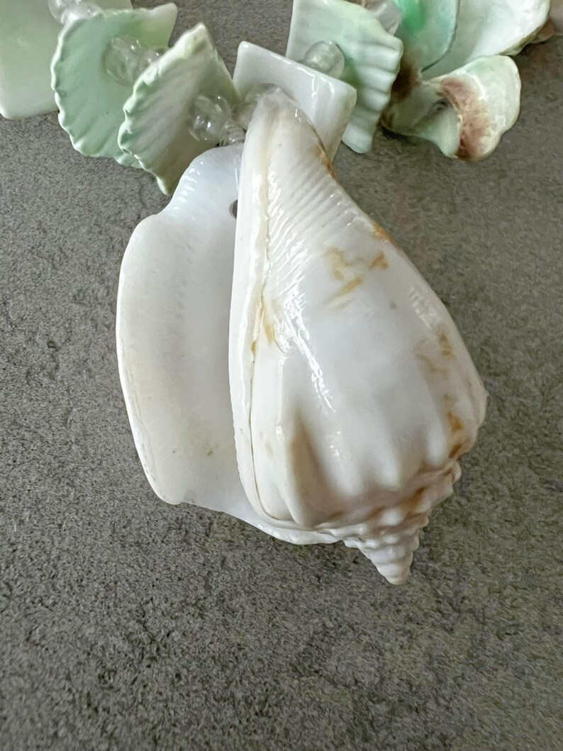 Shell Real Charms Beach Jewelry Bundle, Vintage Sliced Money Cowrie Shell Necklace, Puka ...