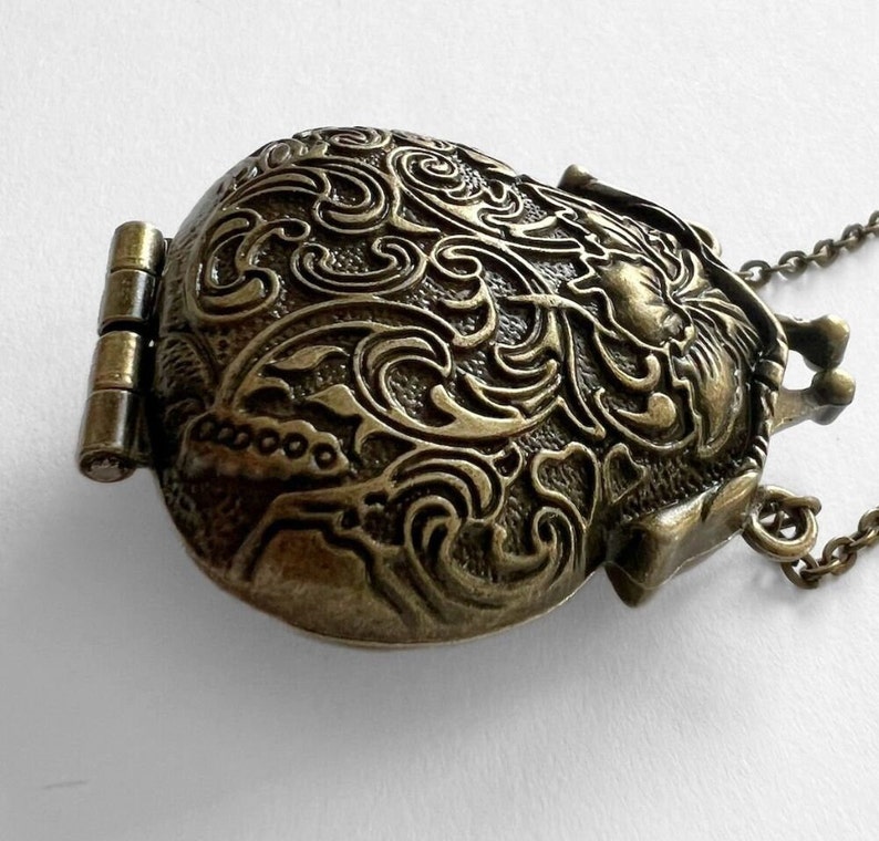 Puede incluir: Un collar con un medall&oacute;n de bronce, con una tapa con bisagras y un dise&ntilde;o floral detallado. El medall&oacute;n es de forma ovalada y tiene una cadena.